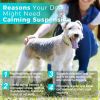 Paws & Calm! Canadian Calming Comfort Drops - 60mL