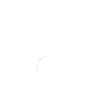 Pawfect Dog Products